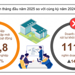 Tình hình đăng ký doanh nghiệp 5 tháng đầu năm
