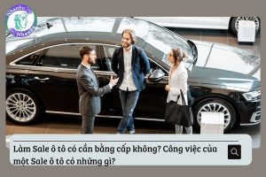 Làm Sale ô tô có cần bằng cấp không?